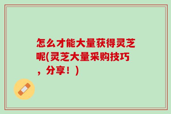 怎么才能大量获得灵芝呢(灵芝大量采购技巧，分享！)
