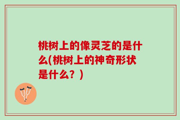 桃树上的像灵芝的是什么(桃树上的神奇形状是什么？)
