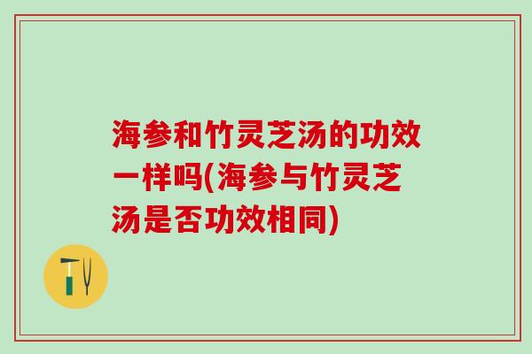 海参和竹灵芝汤的功效一样吗(海参与竹灵芝汤是否功效相同)