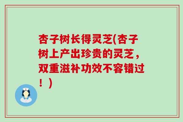 杏子树长得灵芝(杏子树上产出珍贵的灵芝，双重滋补功效不容错过！)