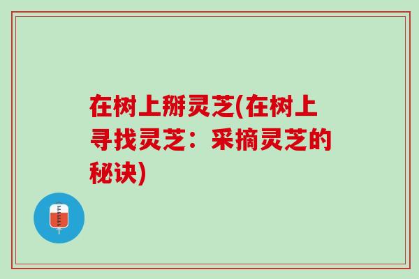 在树上掰灵芝(在树上寻找灵芝：采摘灵芝的秘诀)