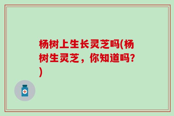 杨树上生长灵芝吗(杨树生灵芝，你知道吗？)