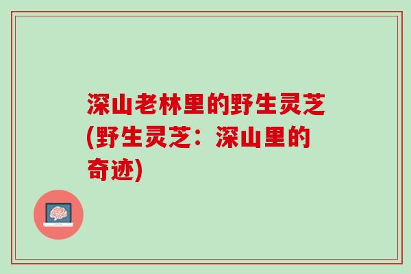 深山老林里的野生灵芝(野生灵芝:深山里的奇迹) 深山老林里的野生灵芝(野生灵芝:深山里的奇迹)