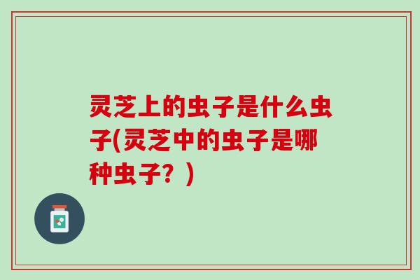 灵芝上的虫子是什么虫子(灵芝中的虫子是哪种虫子？)