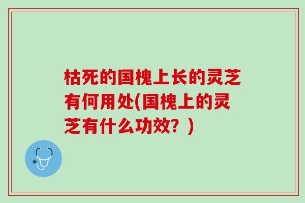 枯死的国槐上长的灵芝有何用处(国槐上的灵芝有什么功效？)