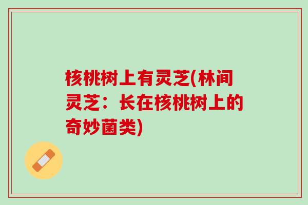 核桃树上有灵芝(林间灵芝：长在核桃树上的奇妙菌类)