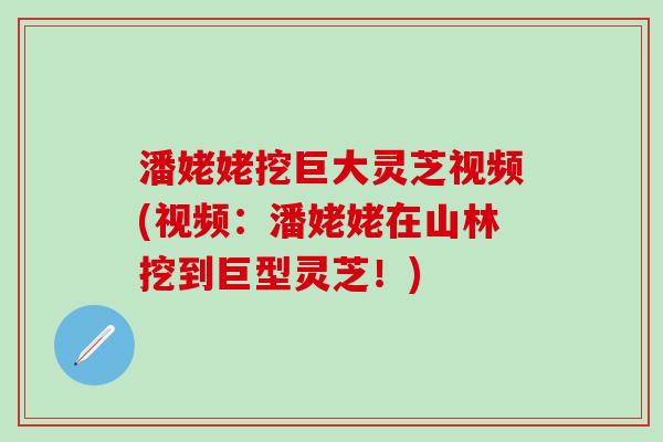 潘姥姥挖巨大灵芝视频(视频：潘姥姥在山林挖到巨型灵芝！)