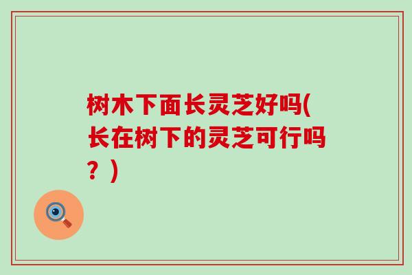 树木下面长灵芝好吗(长在树下的灵芝可行吗？)