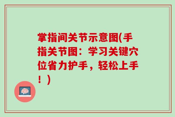 掌指间关节示意图(手指关节图：学习关键穴位省力护手，轻松上手！)
