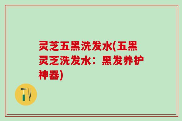 灵芝五黑洗发水(五黑灵芝洗发水：黑发养护神器)