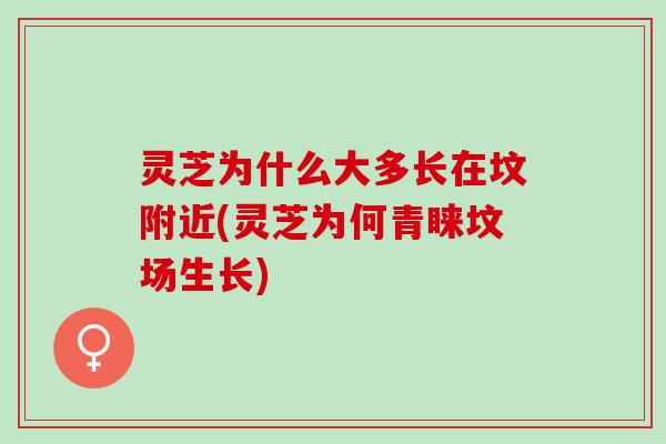 灵芝为什么大多长在坟附近(灵芝为何青睐坟场生长)
