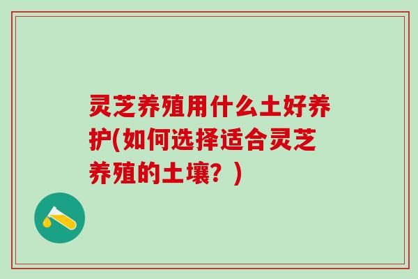 灵芝养殖用什么土好养护(如何选择适合灵芝养殖的土壤？)