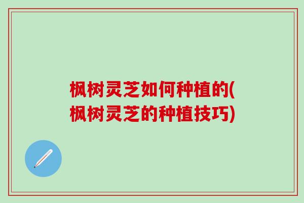 枫树灵芝如何种植的(枫树灵芝的种植技巧)