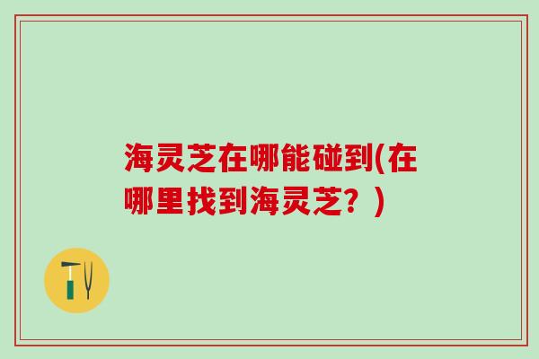 海灵芝在哪能碰到(在哪里找到海灵芝？)