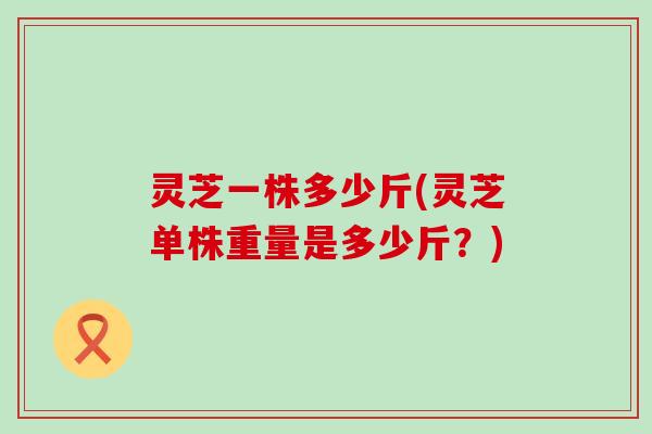 灵芝一株多少斤(灵芝单株重量是多少斤？)
