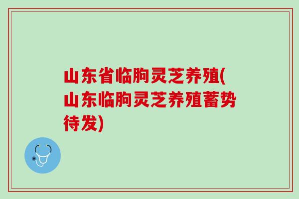 山东省临朐灵芝养殖(山东临朐灵芝养殖蓄势待发)
