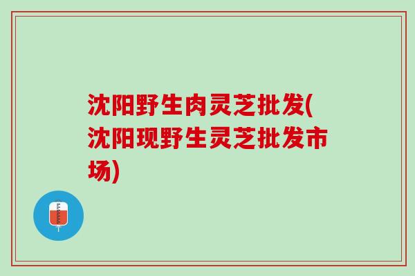 沈阳野生肉灵芝批发(沈阳现野生灵芝批发市场)