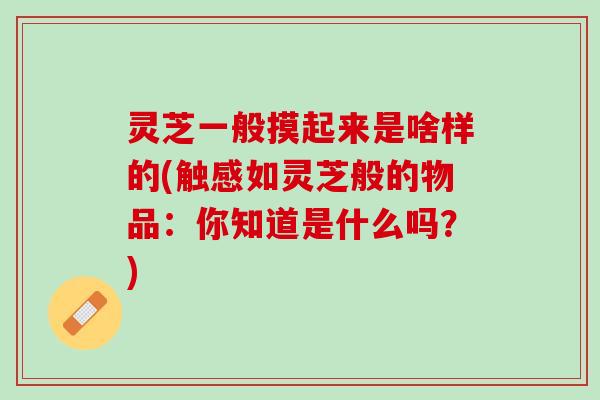 灵芝一般摸起来是啥样的(触感如灵芝般的物品：你知道是什么吗？)