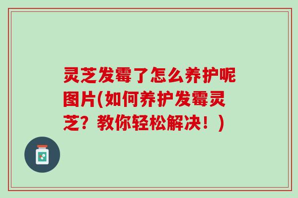 灵芝发霉了怎么养护呢图片(如何养护发霉灵芝？教你轻松解决！)
