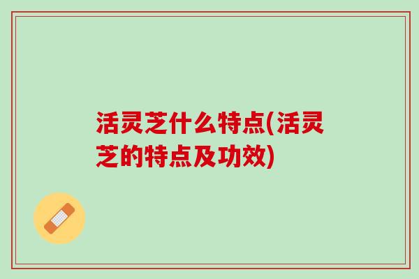 活灵芝什么特点(活灵芝的特点及功效)