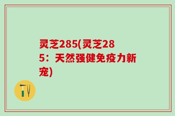 灵芝285(灵芝285：天然强健免疫力新宠)