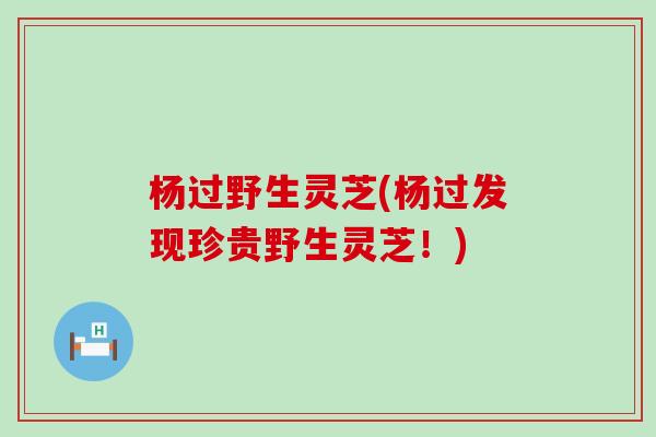杨过野生灵芝(杨过发现珍贵野生灵芝！)