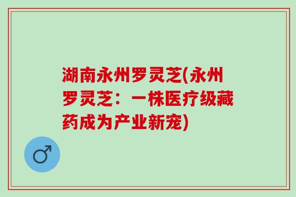 湖南永州罗灵芝(永州罗灵芝：一株医疗级藏药成为产业新宠)