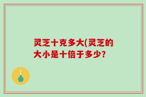 灵芝十克多大(灵芝的大小是十倍于多少？