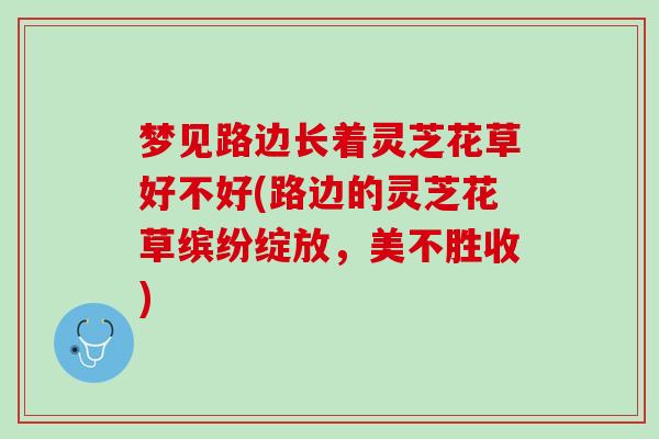 梦见路边长着灵芝花草好不好(路边的灵芝花草缤纷绽放，美不胜收)