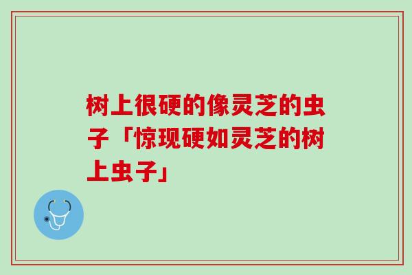 树上很硬的像灵芝的虫子「惊现硬如灵芝的树上虫子」