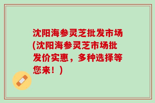 沈阳海参灵芝批发市场(沈阳海参灵芝市场批发价实惠，多种选择等您来！)
