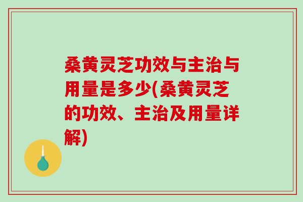桑黄灵芝功效与主治与用量是多少(桑黄灵芝的功效、主治及用量详解)