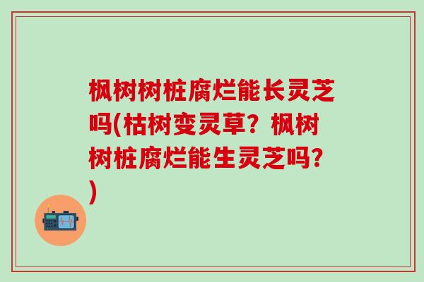 枫树树桩腐烂能长灵芝吗(枯树变灵草？枫树树桩腐烂能生灵芝吗？)
