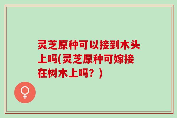 灵芝原种可以接到木头上吗(灵芝原种可嫁接在树木上吗？)
