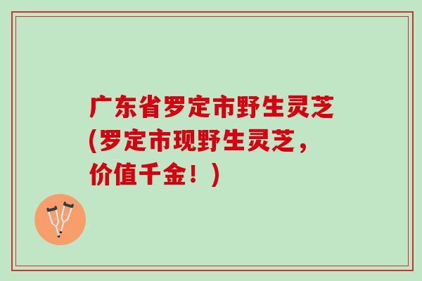 广东省罗定市野生灵芝(罗定市现野生灵芝，价值千金！)