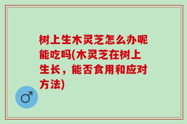 树上生木灵芝怎么办呢能吃吗(木灵芝在树上生长，能否食用和应对方法)