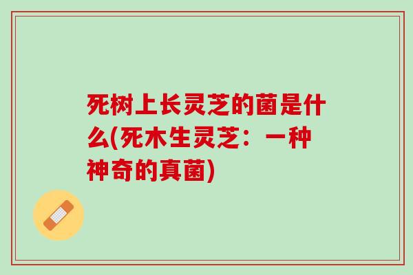 死树上长灵芝的菌是什么(死木生灵芝：一种神奇的真菌)