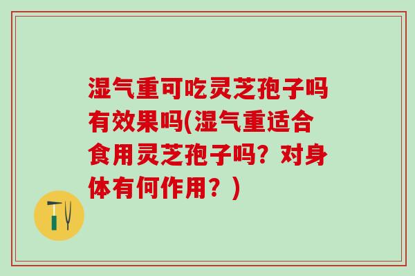 湿气重可吃灵芝孢子吗有效果吗(湿气重适合食用灵芝孢子吗？对身体有何作用？)