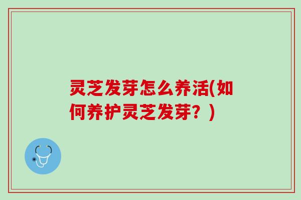 灵芝发芽怎么养活(如何养护灵芝发芽？)