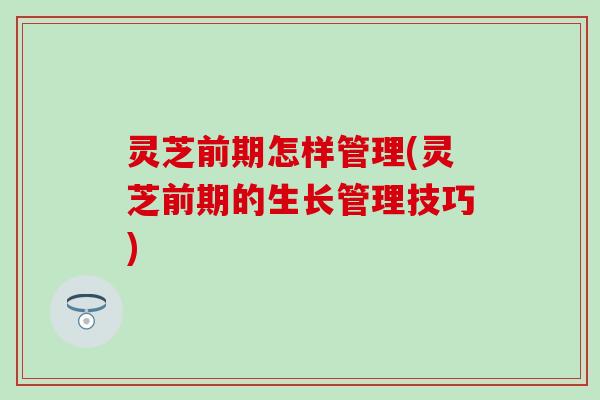 灵芝前期怎样管理(灵芝前期的生长管理技巧)