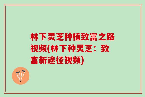 林下灵芝种植致富之路视频(林下种灵芝：致富新途径视频)
