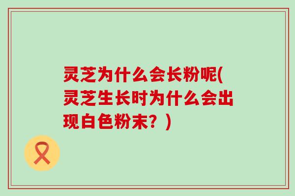 灵芝为什么会长粉呢(灵芝生长时为什么会出现白色粉末？)