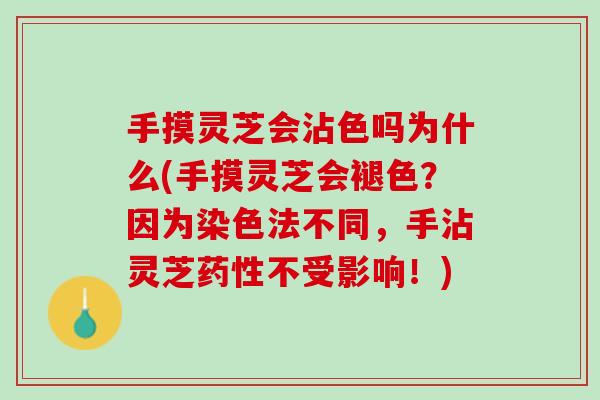 手摸灵芝会沾色吗为什么(手摸灵芝会褪色？因为染色法不同，手沾灵芝药性不受影响！)