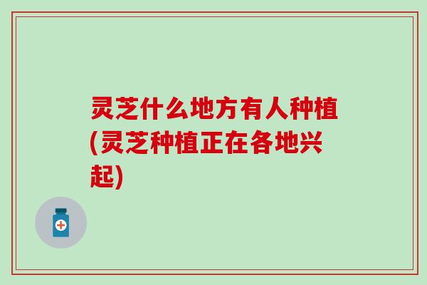 灵芝什么地方有人种植(灵芝种植正在各地兴起)