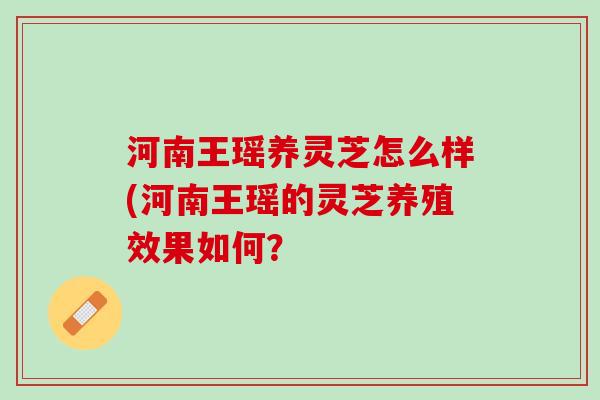河南王瑶养灵芝怎么样(河南王瑶的灵芝养殖效果如何？