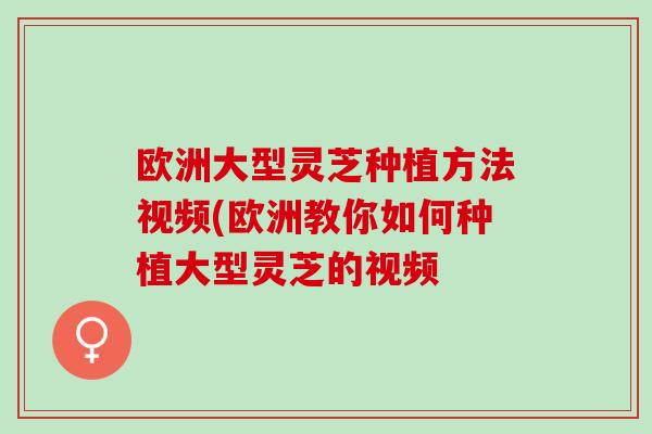 欧洲大型灵芝种植方法视频(欧洲教你如何种植大型灵芝的视频