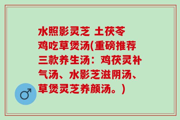水照影灵芝 土茯苓 鸡吃草煲汤(重磅推荐三款养生汤：鸡茯灵补气汤、水影芝滋阴汤、草煲灵芝养颜汤。)