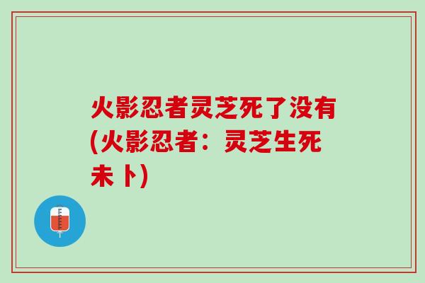 火影忍者灵芝死了没有(火影忍者：灵芝生死未卜)