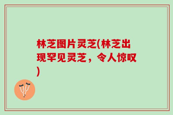 林芝图片灵芝(林芝出现罕见灵芝，令人惊叹)