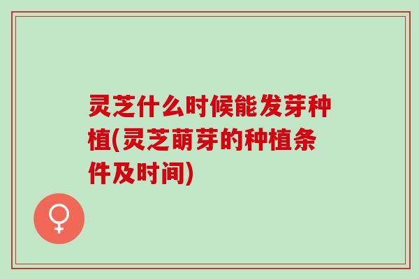 灵芝什么时候能发芽种植(灵芝萌芽的种植条件及时间)